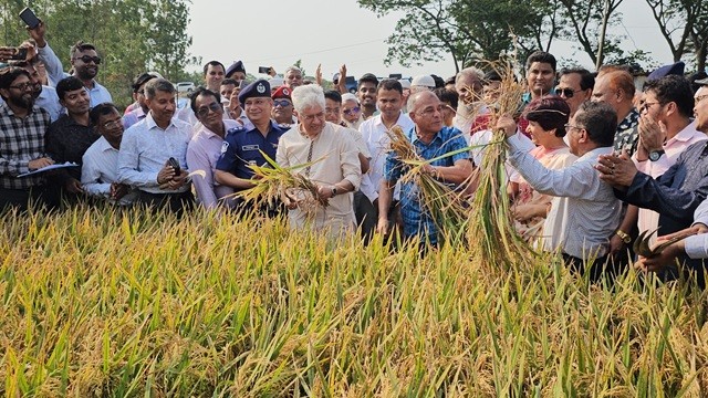 ধান কাটা উৎসবের উদ্বোধন করলেন স্বরাষ্ট্র ও কৃষি উপদেষ্টা জাহাঙ্গীর আলম