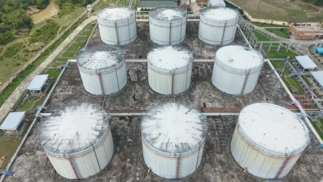 ছবি ‍: সংগৃহীত
