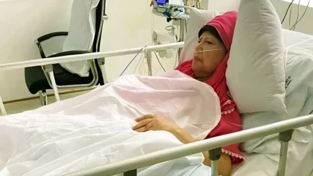 ফাইল ছবি