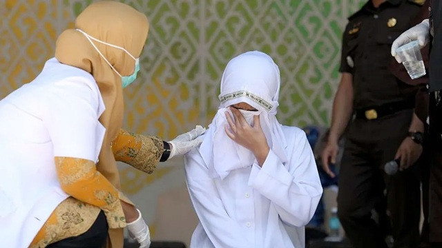 ফাইল ছবি