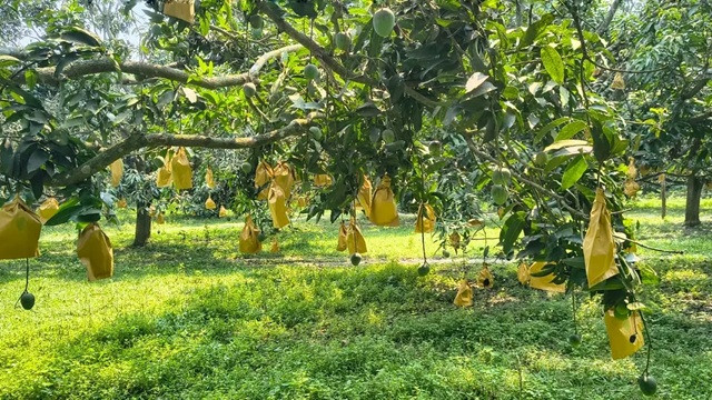 ছবি ‍: সংগৃহীত
