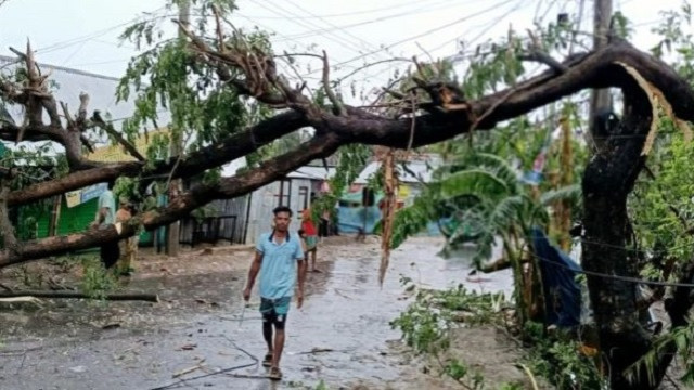 ছবি ‍: সংগৃহীত