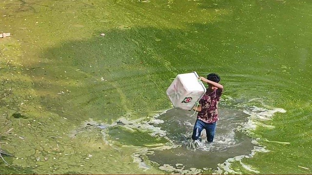 আখাউড়ায় ব্যালট বাক্স ছিনতাই, পুকুর থেকে উদ্ধার করল পুলিশ