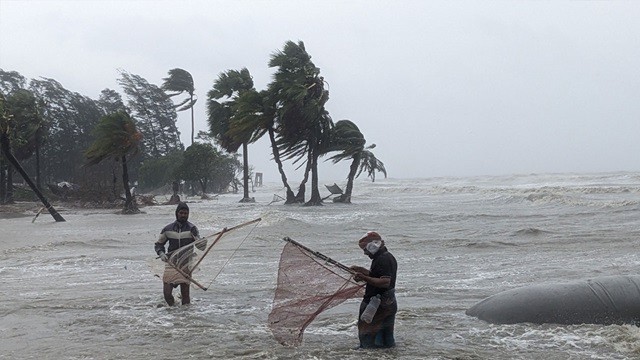 রেমালের তাণ্ডবে বরিশাল উপকূলে ৭২৫ কোটি টাকার ফসলের ক্ষতি