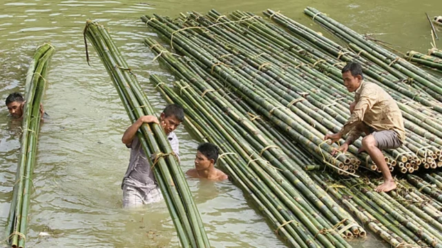 রাঙামাটিতে বাঁশের বাণিজ্য শত কোটি টাকা ছাড়ালো