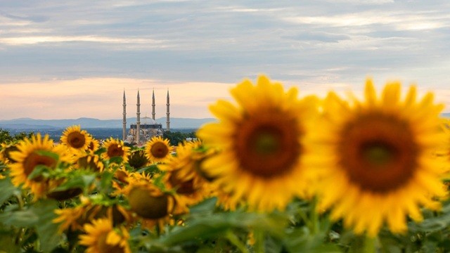 মহানবী (সা.) নিজেই যে সাহাবিকে দাফন করেছিলেন