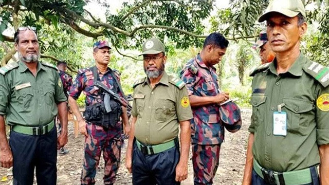 ছবি ‍: সংগৃহীত