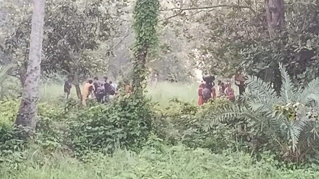 ছবি ‍: সংগৃহীত