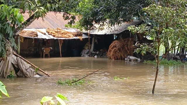 টানা বৃষ্টিতে তলিয়েছে বিস্তৃর্ণ এলাকা, পানিবন্দী ৫ হাজার মানুষ