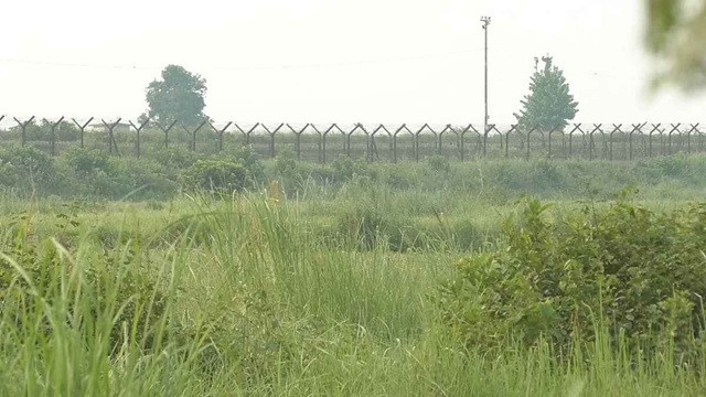 ছবি-সংগৃহীত