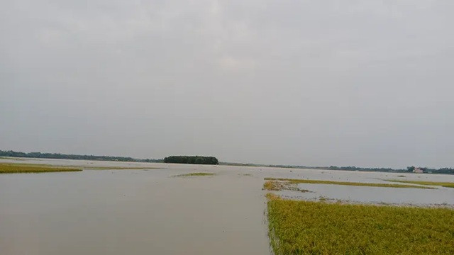 ছবি ‍: সংগৃহীত