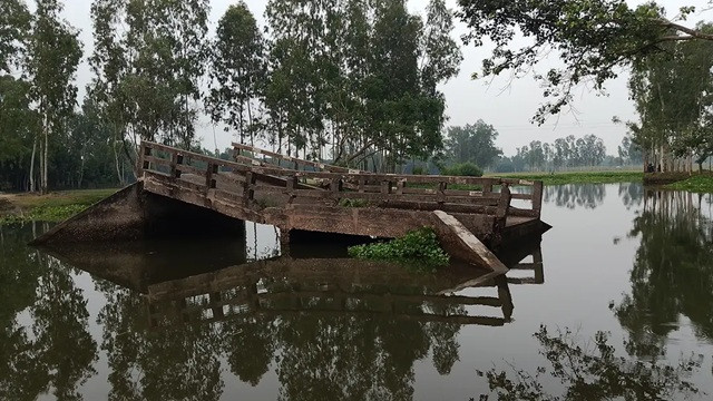 ছবি ‍: সংগৃহীত