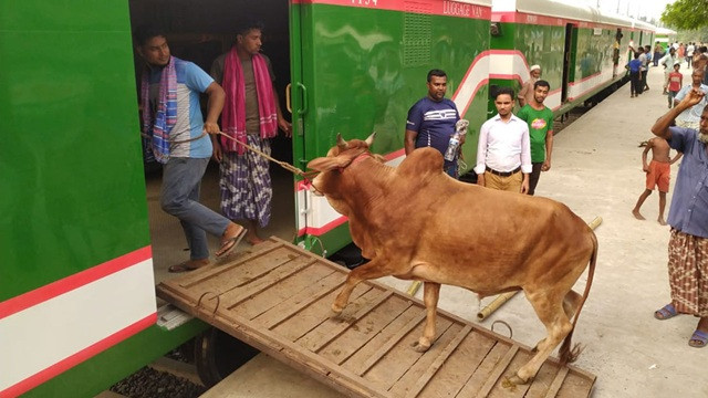 কোরবানির পশু পরিবহনে ৩টি ট্রেন চালাবে রেলওয়ে