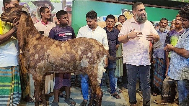 ছাগল-ভেড়া পালনে মিলবে ৪ শতাংশ সুদে ঋণ