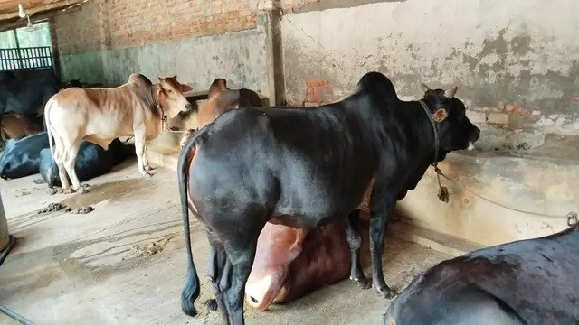 ছবি : সংগৃহীত
