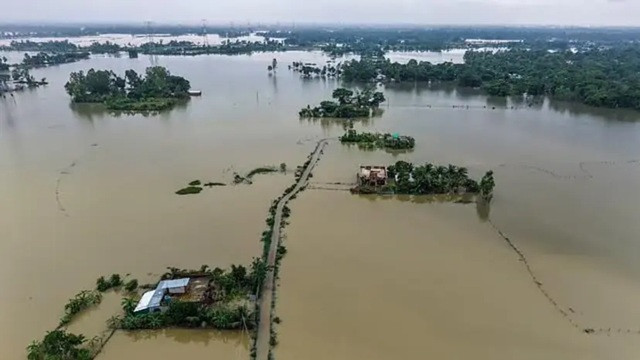 ফাইল ছবি