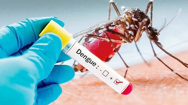 ডেঙ্গুতে আরও ৪০৬ জন হাসপাতালে ভর্তি, মৃত্যু ১