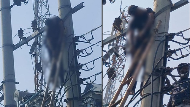 ছবি : সংগৃহীত