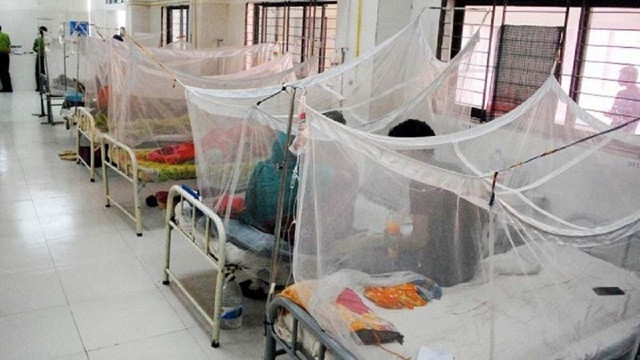 ডেঙ্গুতে আরও ৬ জনের মৃত্যু, হাসপাতালে ভর্তি ৭৮৮