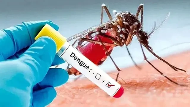 ছবি-সংগৃহীত