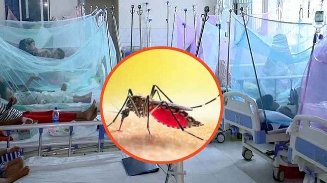 ডেঙ্গুতে আরও ৩ জনের মৃত্যু, নতুন আক্রান্ত ৩২৫