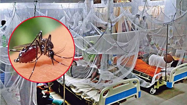 ডেঙ্গুতে আরও একজনের মৃত্যু, নতুন আক্রান্ত ৩২৫