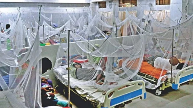 ডেঙ্গুতে আরও ৪৩২ জন আক্রান্ত