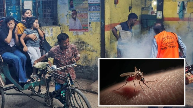 ডেঙ্গুতে একদিনে ৮ মৃত্যু, হাসপাতালে ৭৭৮