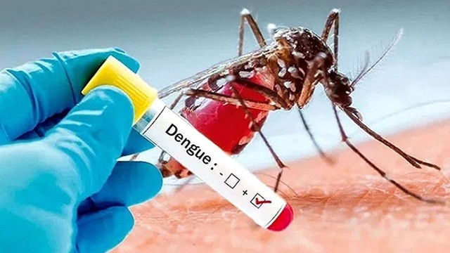 ছবি-সংগৃহীত
