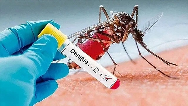 চব্বিশ ঘণ্টায় ডেঙ্গুতে ৬ জনের মৃত্যু