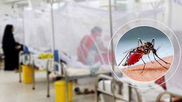 ডেঙ্গুতে আরও ৩ জনের মৃত্যু