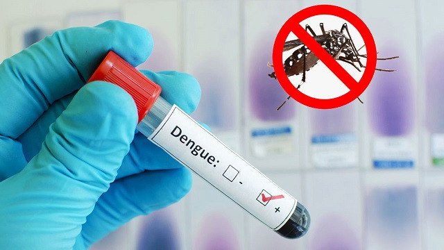 ডেঙ্গুতে মৃত্যু ১০০ ছাড়াল