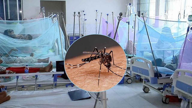 ডেঙ্গুতে একদিনে আরও ৫ মৃত্যু