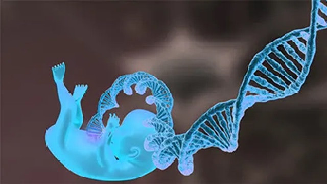 তিন ব্যক্তির ডিএনএ থেকে জন্ম হলো জেনেটিক রোগমুক্ত সুস্থ শিশুর