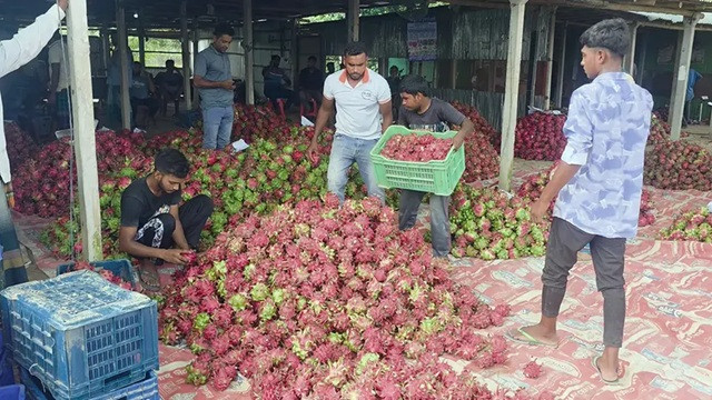 ফাইল ছবি