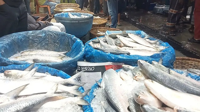 ছবি ‍: সংগৃহীত
