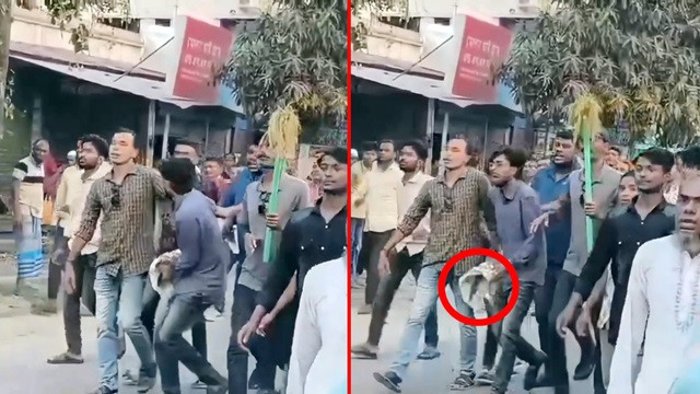 ফাইল ছবি