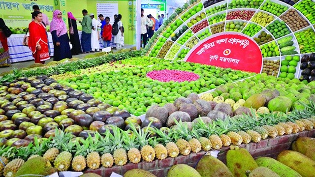 বৃহস্পতিবার শুরু হচ্ছে জাতীয় ফল মেলা