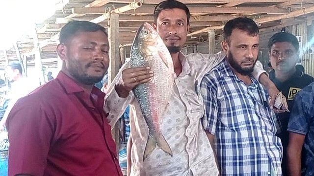 আড়াই কেজির এক ইলিশের দাম ৯২০০ টাকা