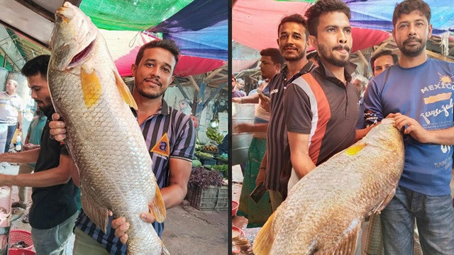 পায়রা নদীর দুই কোরাল ১৮ হাজারে বিক্রি