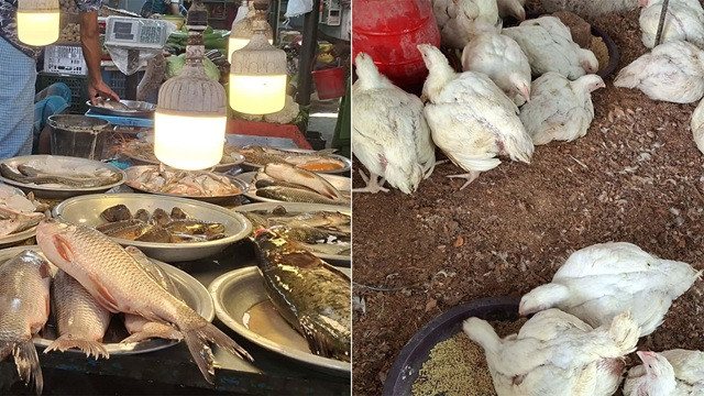 ফাইল ছবি