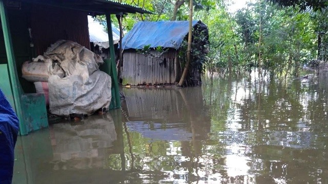 টানা বৃষ্টিতে তলিয়ে গেছে নোয়াখালী