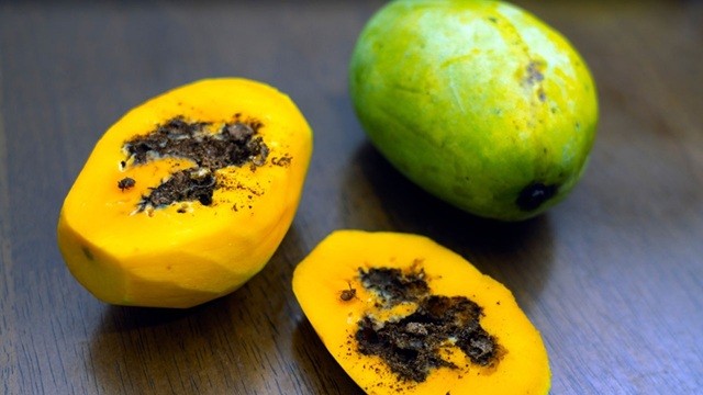 পোকা ধরা ফল খাওয়া যাবে?