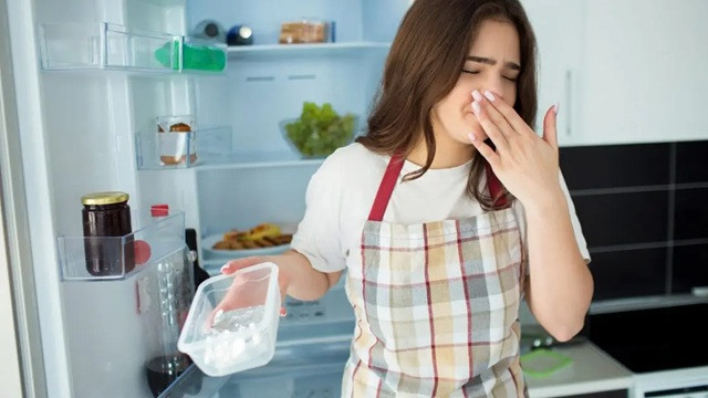 ফ্রিজে উৎকট গন্ধ? কয়েক টুকরো কয়লা রাখুন