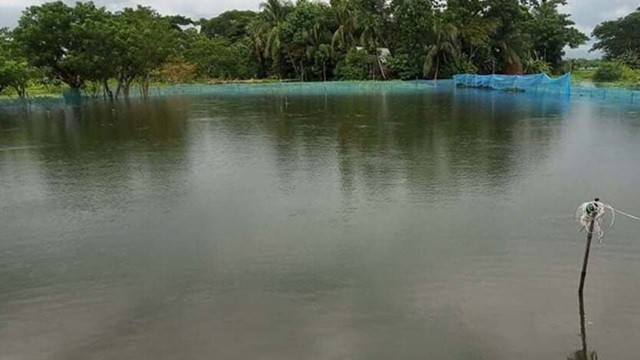 মাছের ঘেরে ভেসে উঠল দুই শিশুর মরদেহ