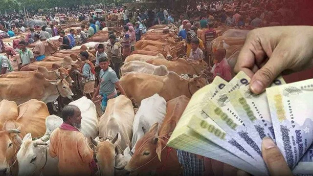 ছবি ‍: সংগৃহীত
