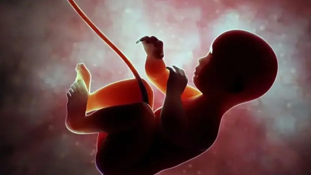 প্রতীকী ছবি