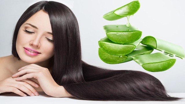চুলে অ্যালোভেরা ব্যবহার করেন? জেনে নিন কী হয়