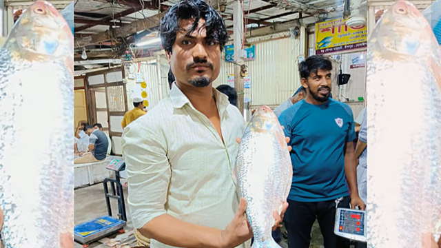 পদ্মার ইলিশটি ১৩ হাজারের বেশি টাকায় বিক্রি