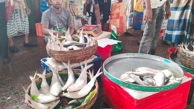 ভরা মৌসুমেও বাজারে মিলছে না ইলিশ, কেজি ২৮০০ টাকা